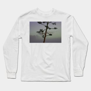 Agave flower stalk and clouds Long Sleeve T-Shirt